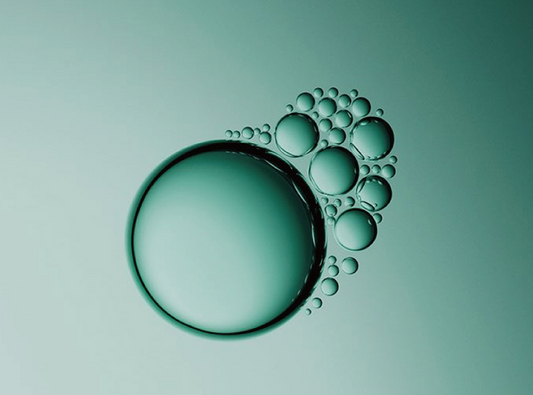 Fourteen Hallmarks of Aging Unveiled: Understanding How to Extend Healthspan